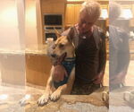 Small #7 Carolina Dog