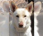 Small #3 Breeder Profile image