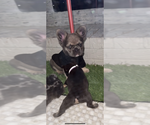 Image preview for Ad Listing. Nickname: Atlas