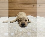 Image preview for Ad Listing. Nickname: Tilly
