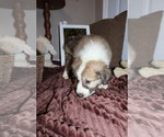  - Photo #10