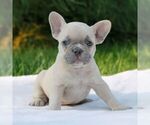 Image preview for Ad Listing. Nickname: Lindie