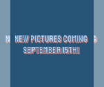 Image preview for Ad Listing. Nickname: Simon