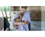Small #18 Chihuahua
