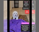 Image preview for Ad Listing. Nickname: Ulla