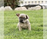 Image preview for Ad Listing. Nickname: Tyler