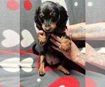 Image preview for Ad Listing. Nickname: Baby boy
