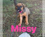 Small Mutt