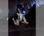 Small #2 Breeder Profile image