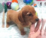 Image preview for Ad Listing. Nickname: Candy