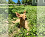 Small #5 Jack Chi