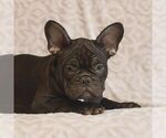 Image preview for Ad Listing. Nickname: Cody