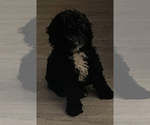 Image preview for Ad Listing. Nickname: Hudson