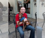 Small #9 Labrador Retriever Mix