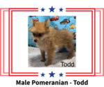 Image preview for Ad Listing. Nickname: Todd