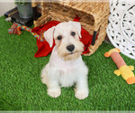 Image preview for Ad Listing. Nickname: Charles