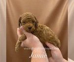 Image preview for Ad Listing. Nickname: Jamie