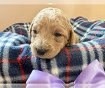 Image preview for Ad Listing. Nickname: Ryan Sun