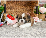 Image preview for Ad Listing. Nickname: Faby