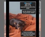 Image preview for Ad Listing. Nickname: Maverick