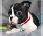 Image preview for Ad Listing. Nickname: Tex