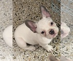 Image preview for Ad Listing. Nickname: Mercury