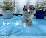 Image preview for Ad Listing. Nickname: Mercedes