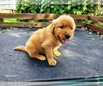 Image preview for Ad Listing. Nickname: Boy 2