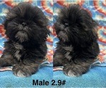Image preview for Ad Listing. Nickname: Sweetheart