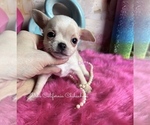 Image preview for Ad Listing. Nickname: Stuart
