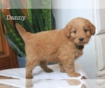 Image preview for Ad Listing. Nickname: Danny
