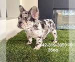 Image preview for Ad Listing. Nickname: Marshmallow