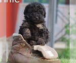 Image preview for Ad Listing. Nickname: Lonnie