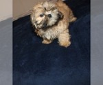 Image preview for Ad Listing. Nickname: Weston