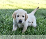 Image preview for Ad Listing. Nickname: Jack