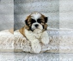 Image preview for Ad Listing. Nickname: Scout