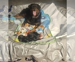 Small Rottweiler