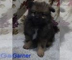 Image preview for Ad Listing. Nickname: Garner