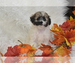 Small #2 Poochon