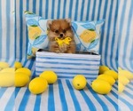 Image preview for Ad Listing. Nickname: Alvin