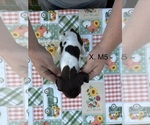  - Photo #3