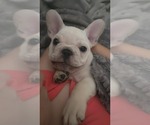 Image preview for Ad Listing. Nickname: Goku