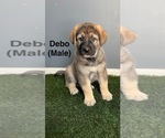 Small #2 German Shepherd Dog
