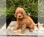 Image preview for Ad Listing. Nickname: Opal
