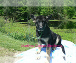 Image preview for Ad Listing. Nickname: White Pine Lake