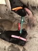 Small Photo #17 Great Dane Puppy For Sale in WARRENSBURG, MO, USA