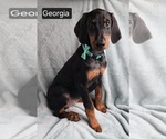 Image preview for Ad Listing. Nickname: Georgia