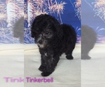 Image preview for Ad Listing. Nickname: Tinkerbell