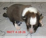 Image preview for Ad Listing. Nickname: Matt