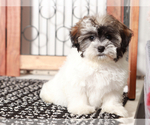 Small #3 Poovanese
